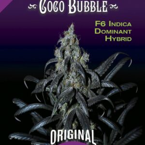 Coco Bubble F6 10 Regular Seeds