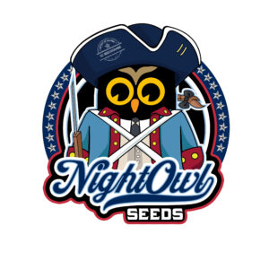 Blue Microverse F5 (24 Carat x Blue Magoo Bx2) 3 Feminized Autoflowering Seeds