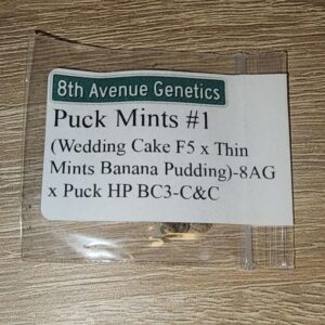 8th Avenue Genetics Puck Mints #1 F1 12 Regular Seeds