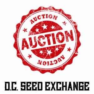 Auctions
