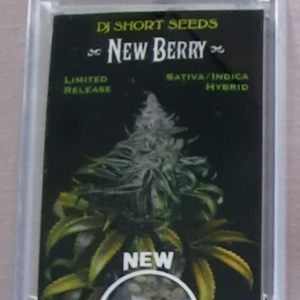 DJ Short Seeds New Berry F5 11 Regular Seeds