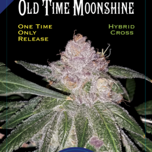 Old Time Moonshine 13 Regular Seeds