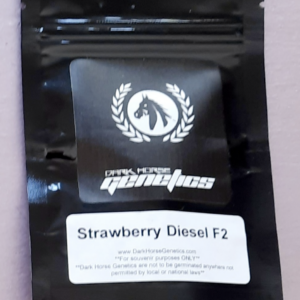 Dark Horse Genetics Strawberry Diesel F2 10 Regular Seeds