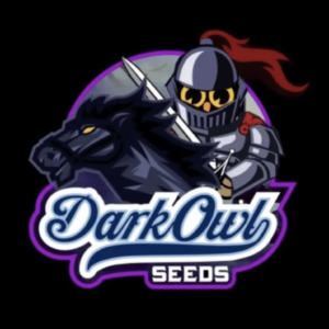 Valencia Kush Auto F1 3 Feminized Autoflower Seeds