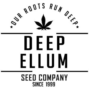 NTX Platinum x 88NL2 F1 12 Regular Seeds