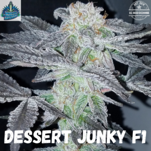 Dessert Junky F1 (Grape Pie x Ice Cream Cake) 6 Feminized Seeds