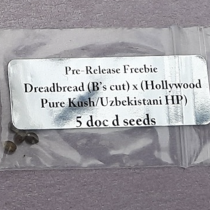 Doc D Seeds Dreadbread (B's cut) x (Hollywood Pure Kash/Uzbekistani HP) 5 Regular Seeds