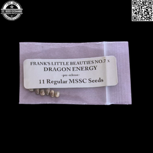 Doc-D Magic Spirit Seed Co Frank's Little Beauties No.7  x Dragon Energy 11 Regular Seeds