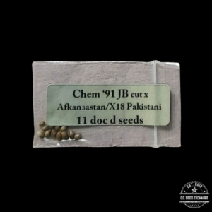 Doc D Seeds Chem '91 x Afkansastan/X18 Pakistan 11 Regular Seeds