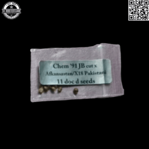Doc D Seeds Chem '91 x Afkansastan/X18 Pakistan 11 Regular Seeds