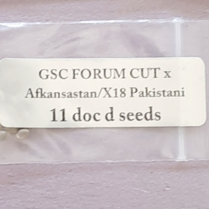 Doc D Seeds GSC Forum Cut x Afkansastan/X18 Pakistani 11 Regular Seeds