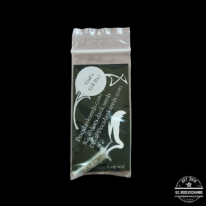 Docs Dank Seeds God's Gift Bx1 5 Regular Seeds