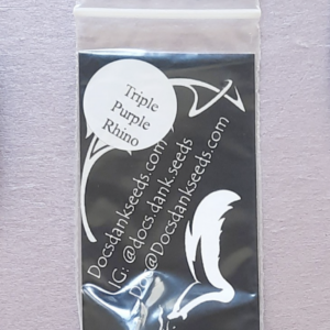 Docs Dank Seeds Triple Purple Rhino 10 Regular Seeds