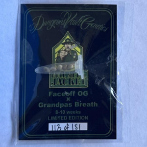 Dungeon Vault Genetics Full Metal Jacket 12 Regular Seeds