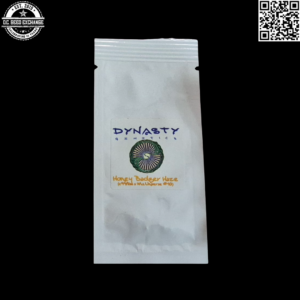 Dynasty Genetics Honey Badger Haze (Ice Queen aka C99/Williams Wonder x Ms. Universe #10) 5 Regular Seeds