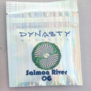 Dynasty Genetics Salmon River OG 10 Regular Seeds