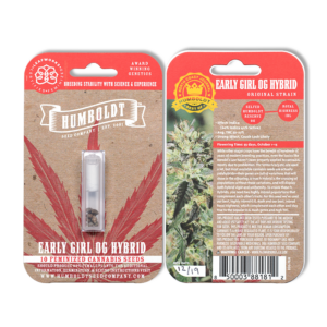 Early Girl OG Hybrid 10 Feminized Seeds