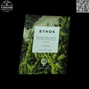 Ethos Genetics Gorilla Glue #4 S1 6 Feminized Seeds