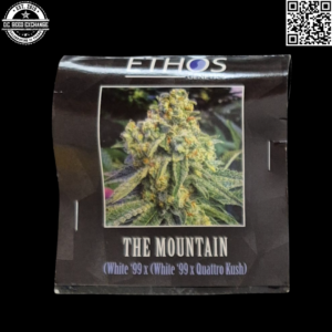 Ethos Genetics The Mountain (White 99 x [White '99 x Quattro Kush]) 10 Regular Seeds