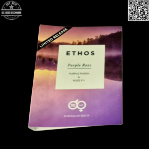 Ethos Genetics Purple Roze F1 (Purple Punch x Roze) 10 Regular Seeds