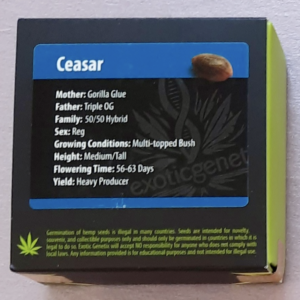 Exotic Genetix Ceasar F1 10 Regular Seeds