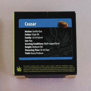 Exotic Genetix Ceasar F1 10 Regular Seeds