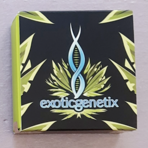 Exotic Genetix Pizookies 10 Regular Seeds