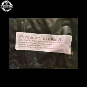 White Afghani F3 ([The White x OMG] x Blackberry OG Royal Kush #7) 12 Regular Seeds
