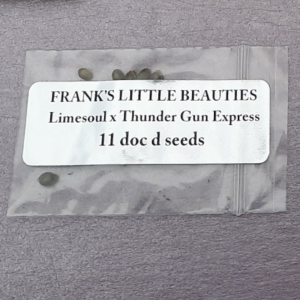 Doc D Seeds Frank's Little Beauties F1 11 Regular Seeds