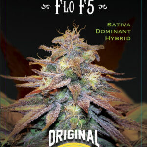 The Original Flo F5 6 Regular Seeds