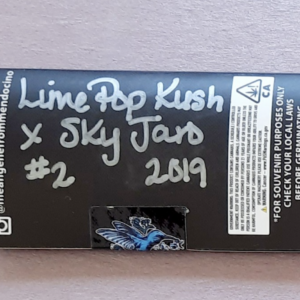 Freeborn Selections Lime Pop Kush x Sky Jaro #2 2019 10 Regular Seeds