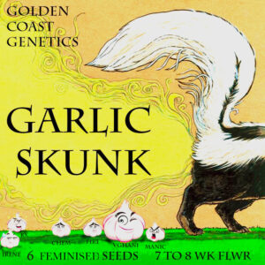 Garlic Skunk S1 6 Feminized Seeds