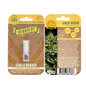 Garlic Budder 10 Feminized Seeds