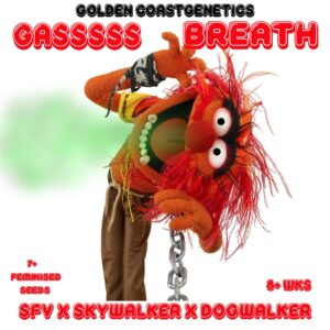 Gas Breath S1 ([SFV OG x Skywalker] x Dog Walker OG) 6 Feminized Seeds