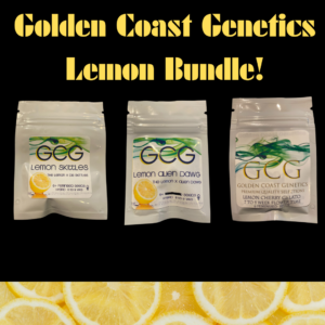 Golden Coast Genetics The Lemon Bundle 18 Photoperiod Seeds