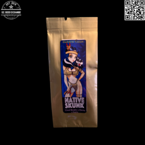 Golden Coast Genetics Native Skunk F1 (Cloud Breath x Chem 4) 10 Regular Seeds