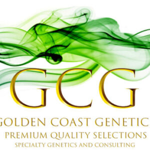 Golden Coast Genetics