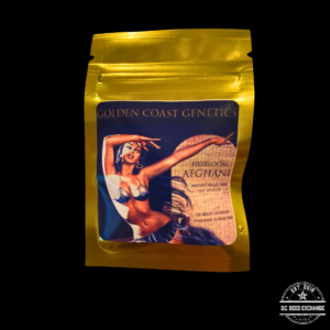 Golden Coast Genetics Heirloom Afghani 12 Regular Seeds