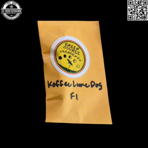 Green Source Gardens Koffee Lime Dog (Koffee F6 x Lime Dog F3) 10 Regular Seeds