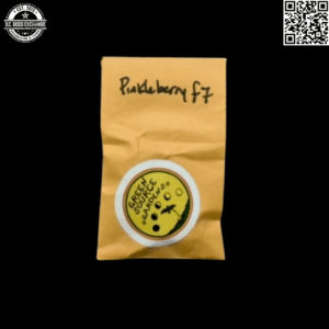 Green Source Gardens Pinkleberry F7 10 Regular Seeds