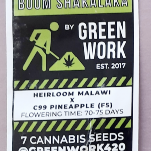 Green Work Boom Shakalaka F1 7 Regular Seeds