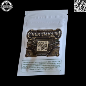 Greenpoint Seeds Chem Daiquiri F1 (Orange Daiquiri x Stardawg) 10 Regular Seeds