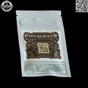 Greenpoint Seeds City Slicker F1 (Gelato #33 x Stardawg) 10 Regular Seeds