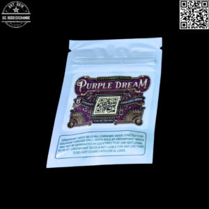 Greenpoint Seeds Purple Dream (Purple Punch x Blue Dream) 6 Feminized Seeds