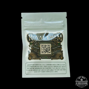 Greenpoint Seeds Royal Chem F1 (Purple Punch x Stardawg) 10 Regular Seeds