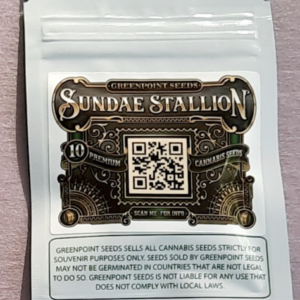 Greenpoint Seeds Sundae Stallion 10 Regular Seeds