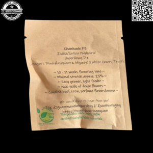 GuamMaineian Gardens Chamhaole F3 (Underdawg D x [{Dragon's Blood Hashplant x Afgooey} x White Cherry Truffle]) 10 Regular Seeds