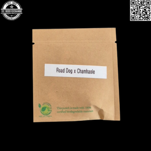 GuamMaineian Gardens Road Dog x Chamhaole 5 Regular Seeds