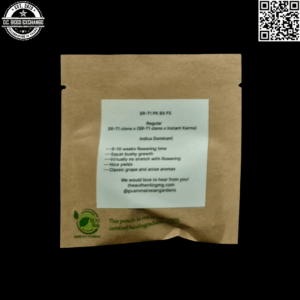 GuamMaineian Gardens SR-71 Purple Kush BX F5 12 Regular Seeds