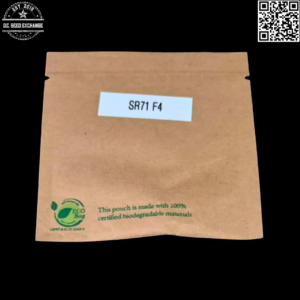 GuamMaineian Gardens SR71 F4 6 Feminized Seeds